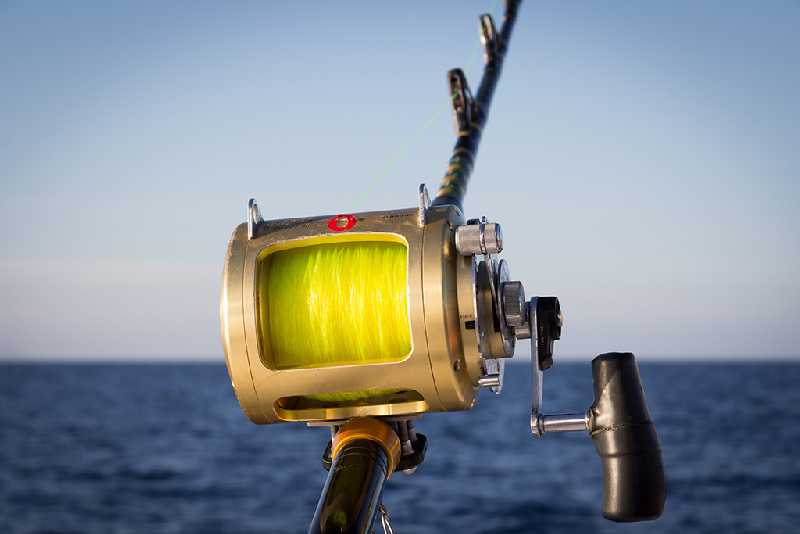 Удилища для морской ловли Удилища для морской ловли